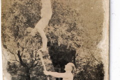 PFL_gymnasts